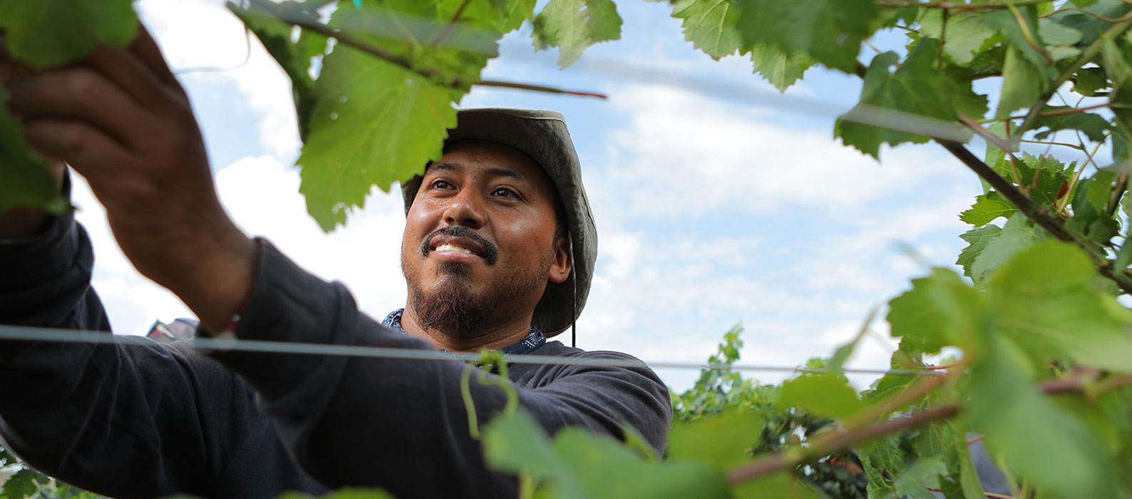 Interior of winery tasting room with tables and benches