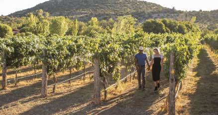 ARIZONA WINE TRAILS