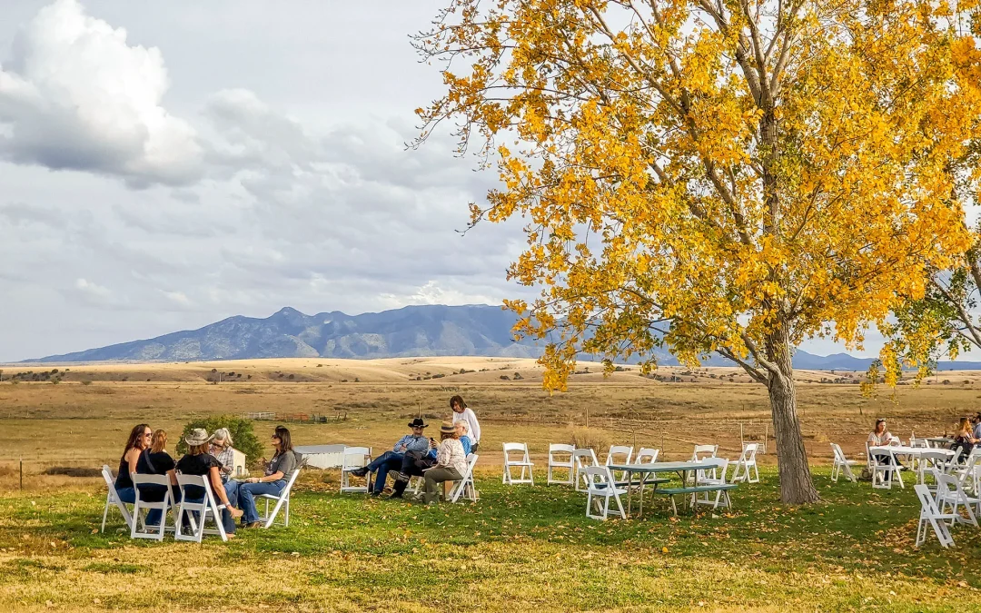5 Wine Regions Vying to Become the Next Napa