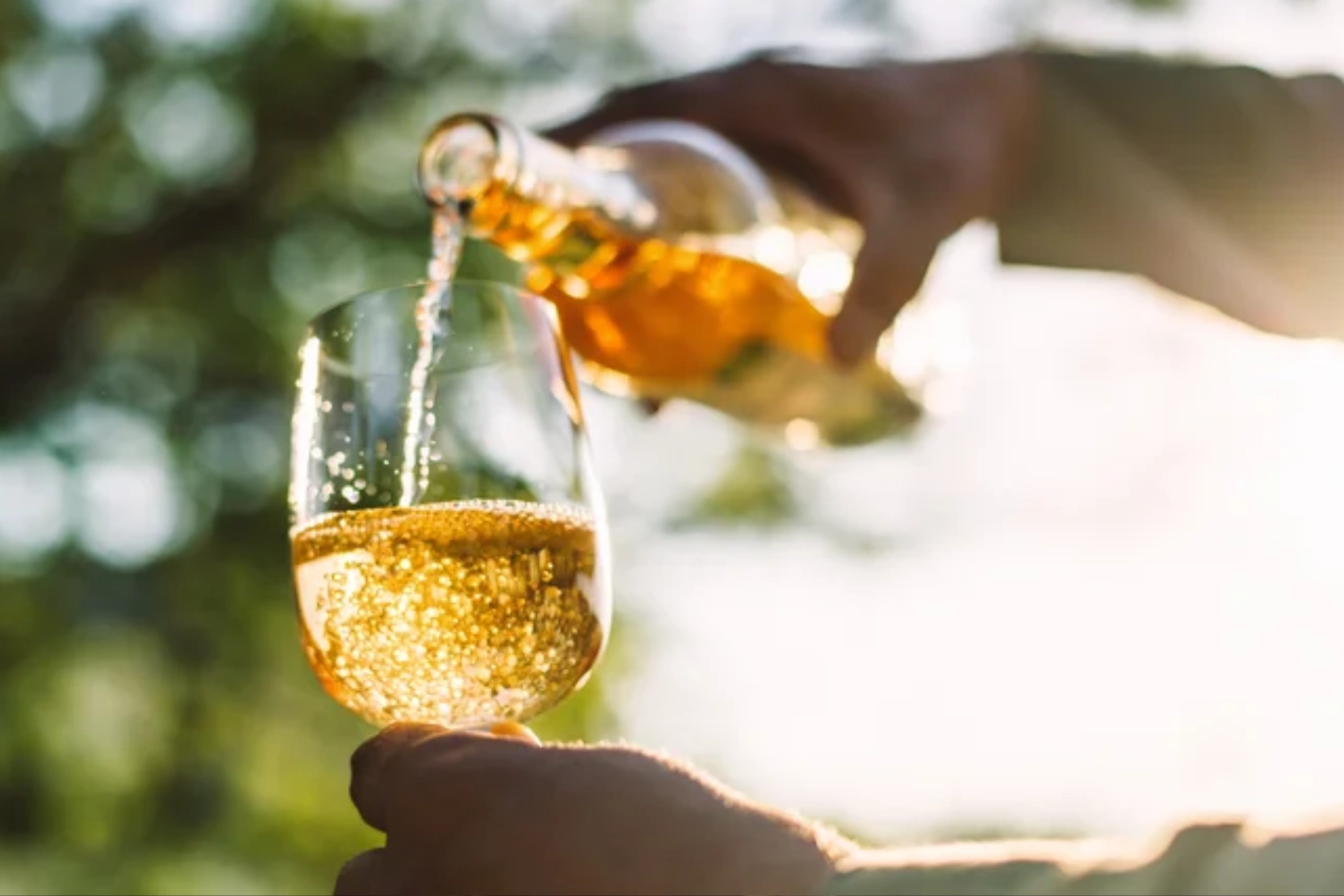 The Best Winery In Every State