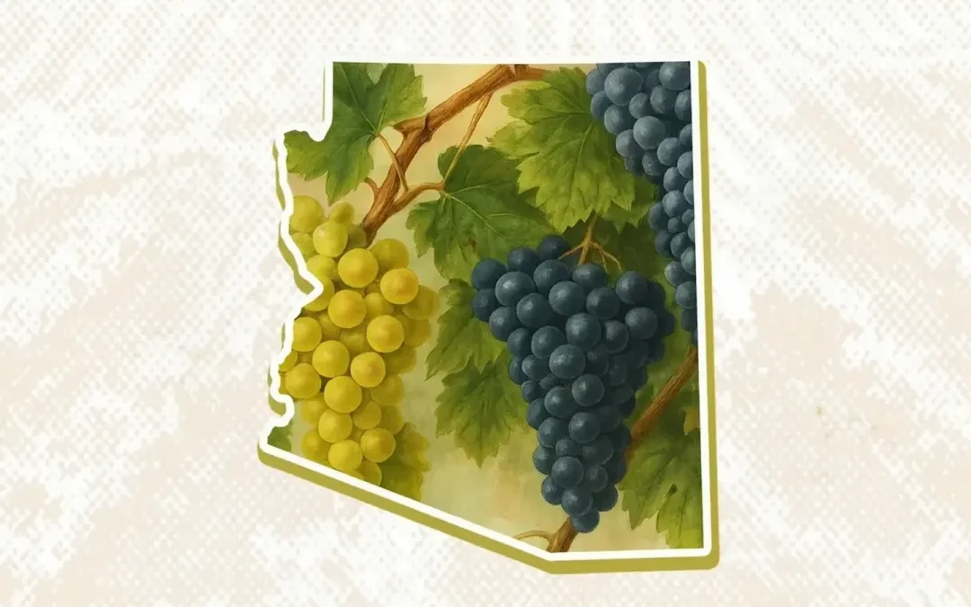Why Arizona Should Be Your Next Wine Destination