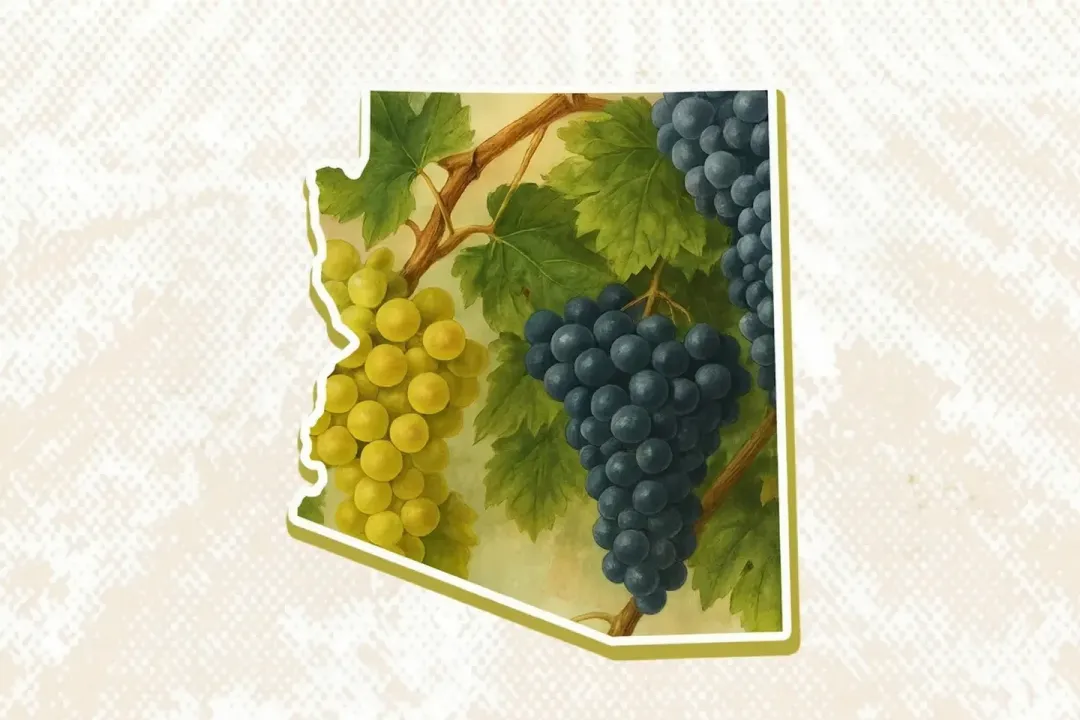 Why Arizona Should Be Your Next Wine Destination