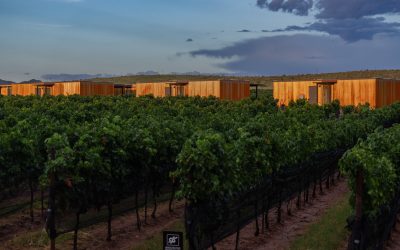 Stay at a Vineyard in Arizona: The Casitas at Los Milics